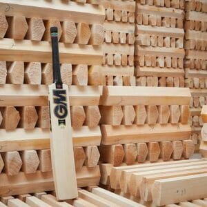 cricket bat